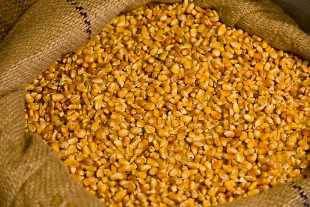 Deer Corn For Sale | Bagged Solutions | Bulk Sandbags For Sale!