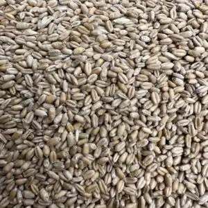 Bagged Wheat | Bagged Solutions | Bulk Sandbags For Sale!